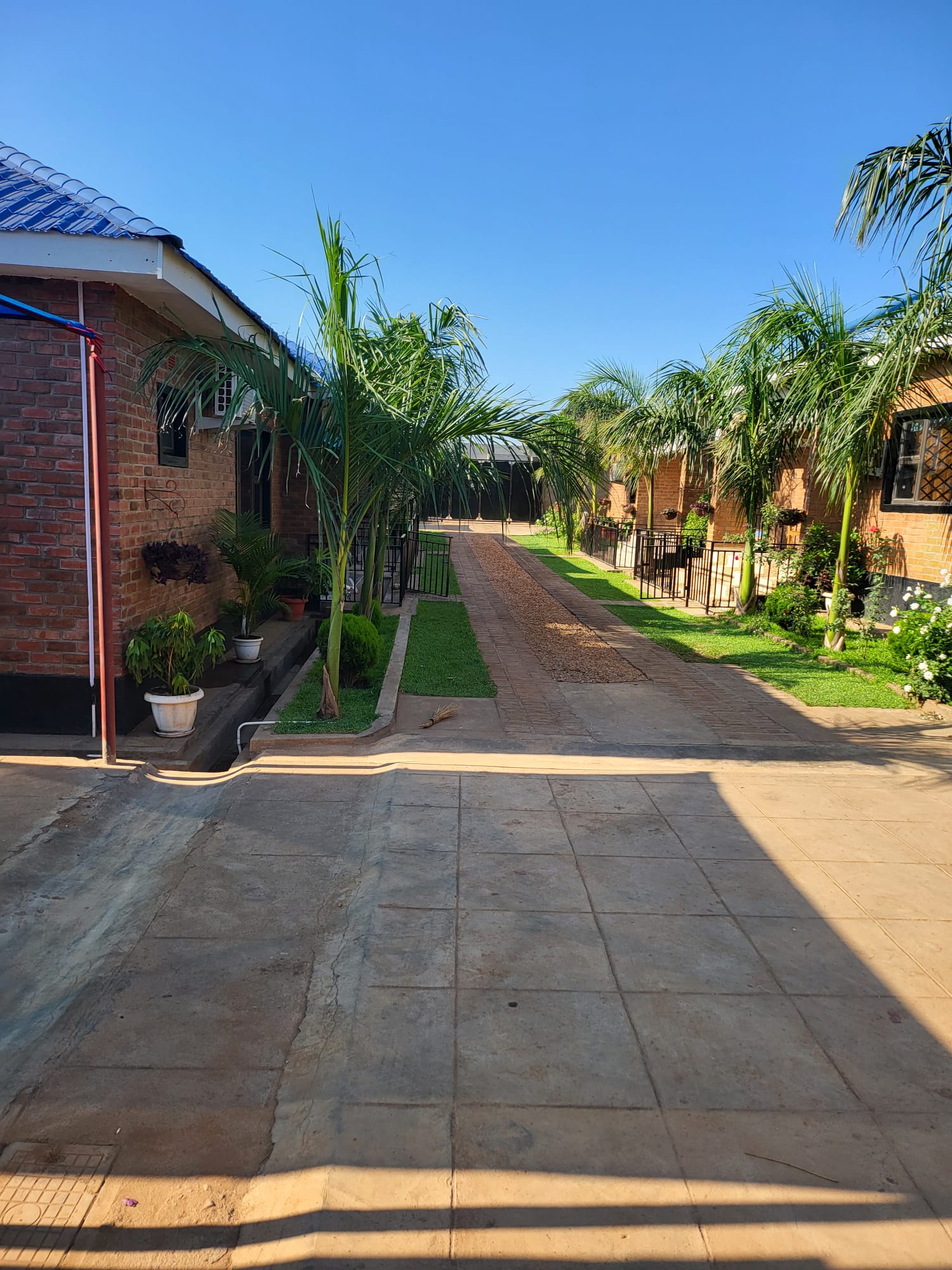 Palm-lined pathway through the compound